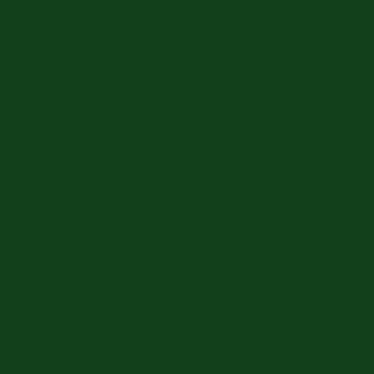 Retoque la pintura para su Acura Integra 1994 Vermont Green Pearl G97P