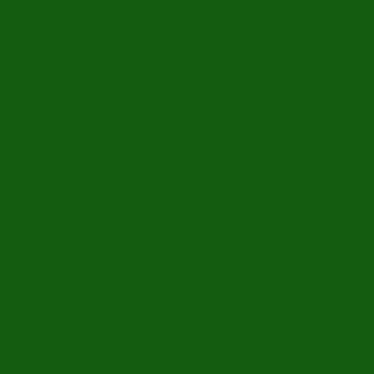 Retoque la pintura para su Toyota Prius 2003 Dark Green Pearl 6R4