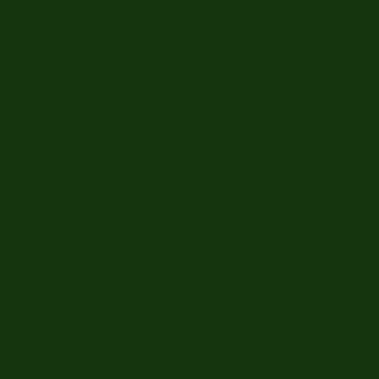 Retoque la pintura para su BMW Z3 1998 Dark Green II 307