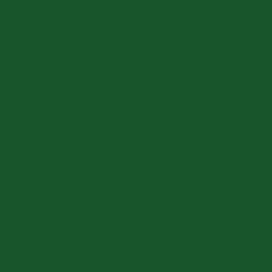 Retoque la pintura para su BMW Z3 1998 Boston Green Metallic 275