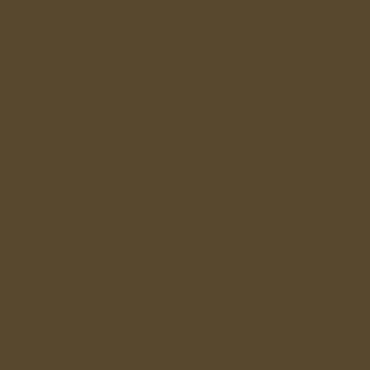 Retoque la pintura para su BMW X6-M 2015 Pyrite Brown Metallic X13