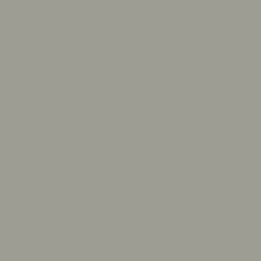 Retoque la pintura para su BMW Z3 1999 Arctic Silver Metallic 309