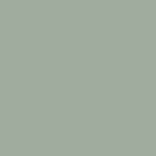 Retoque la pintura para su Acura Legend 1997 Sebring Silver Metallic NH552M