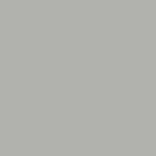 Retoque la pintura para su BMW Z4 2006 Silver Grey Metallic A08