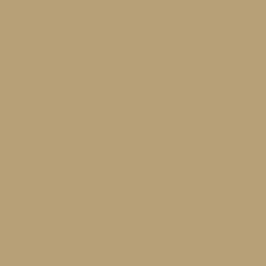 Retoque la pintura para su Audi All 1998 Melange Beige Metallic/Melange Metallic LY1T
