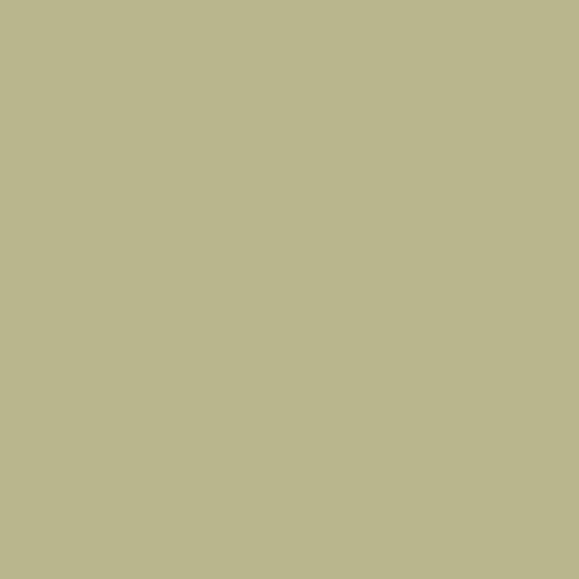 Retoque la pintura para su BMW Z3 1999 Sahara Beige Metallic 443
