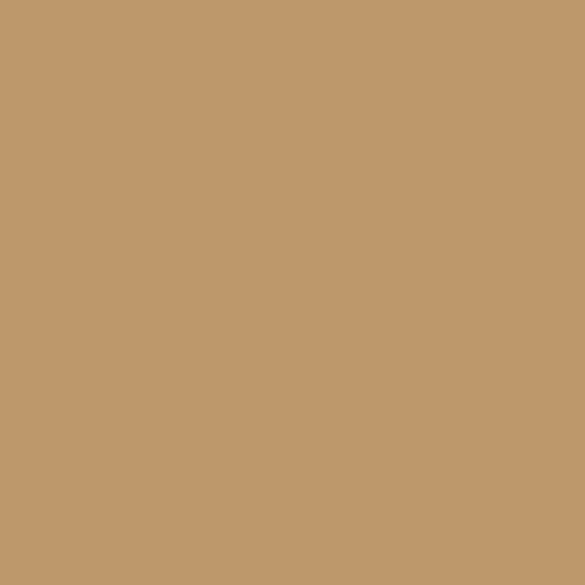 Retoque la pintura para su Audi All 1990 Santosbeige LY1N